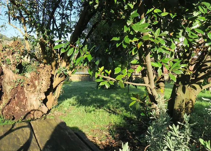 Penzion Casa Rosalia