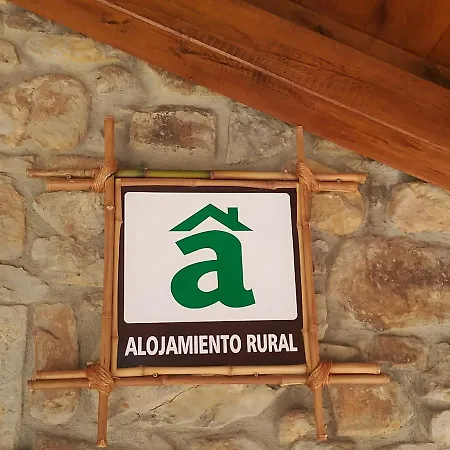 Casa Rosalia *